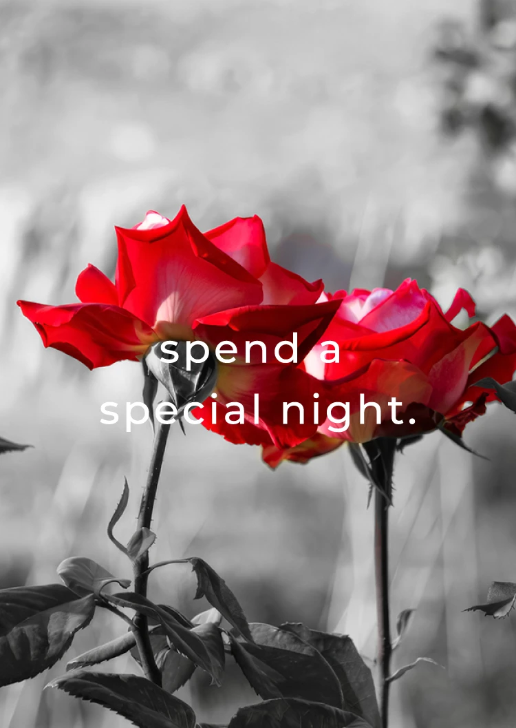 spend a special night